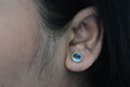 Paua Shell Earring .925 Sterling Silver